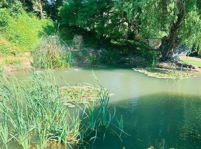 Le Domaine Du Hibou דירה *