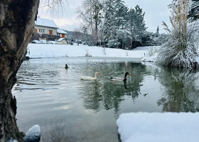 Le Domaine Du Hibou דירה