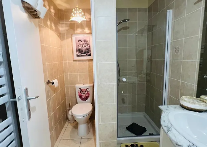 Le Domaine Du Hibou Festigny (Marne)