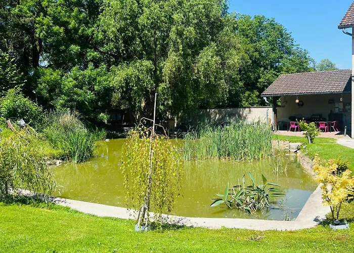 Le Domaine Du Hibou דירה Festigny (Marne)